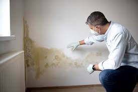 Mold Remediation for Rental Properties in Fallston, MD